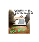 もふもふマリンちゃん3（個別スタンプ：10）