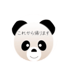 パンダのパンくん、ご挨拶（個別スタンプ：1）
