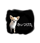 さーちんず4（個別スタンプ：1）