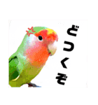 さーちんず4（個別スタンプ：5）
