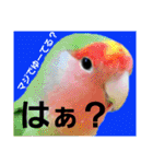 さーちんず4（個別スタンプ：6）