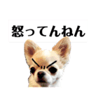 さーちんず4（個別スタンプ：11）