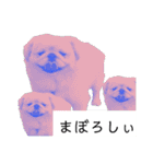 さーちんず4（個別スタンプ：13）