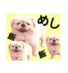 さーちんず4（個別スタンプ：14）