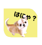 さーちんず4（個別スタンプ：38）