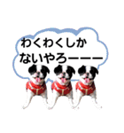 さーちんず4（個別スタンプ：40）