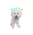 シャルロット 第二章（個別スタンプ：2）