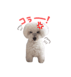 シャルロット 第二章（個別スタンプ：6）