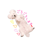 シャルロット 第二章（個別スタンプ：9）