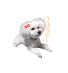 シャルロット 第二章（個別スタンプ：10）