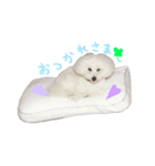 シャルロット 第二章（個別スタンプ：11）