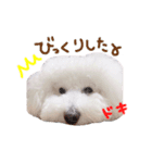 シャルロット 第二章（個別スタンプ：13）
