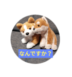 ねずみ:犬スタンプ！（個別スタンプ：8）