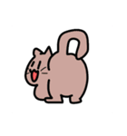 カラフルねこズの基本スタンプ（個別スタンプ：13）