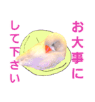 キンカーズの日常Part2（個別スタンプ：13）