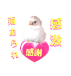 キンカーズの日常Part2（個別スタンプ：15）