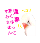 キンカーズの日常Part2（個別スタンプ：17）