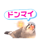 キンカーズの日常Part2（個別スタンプ：20）