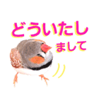 キンカーズの日常Part2（個別スタンプ：21）