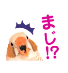 キンカーズの日常Part2（個別スタンプ：24）