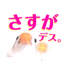 キンカーズの日常Part2（個別スタンプ：26）