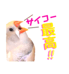 キンカーズの日常Part2（個別スタンプ：27）