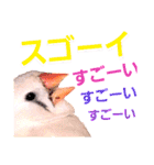 キンカーズの日常Part2（個別スタンプ：28）