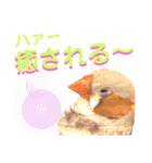 キンカーズの日常Part2（個別スタンプ：30）