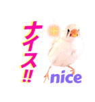 キンカーズの日常Part2（個別スタンプ：31）