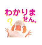 キンカーズの日常Part2（個別スタンプ：33）