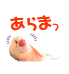キンカーズの日常Part2（個別スタンプ：34）