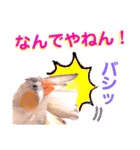 キンカーズの日常Part2（個別スタンプ：35）
