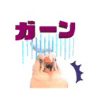 キンカーズの日常Part2（個別スタンプ：38）