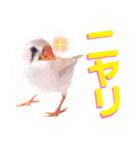 キンカーズの日常Part2（個別スタンプ：39）
