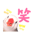キンカーズの日常Part2（個別スタンプ：40）