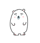 しろくまおやじ（個別スタンプ：1）