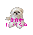 エレチャコチャイ（個別スタンプ：12）