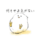 やるきのないとり（個別スタンプ：1）