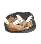 ぬこすたんぷその1（個別スタンプ：7）