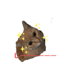 ぬこすたんぷその1（個別スタンプ：32）