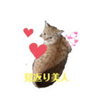 ぬこすたんぷその1（個別スタンプ：33）