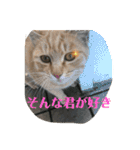 ぬこすたんぷその1（個別スタンプ：38）