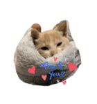 ❤︎ほちゃて❤︎（個別スタンプ：6）