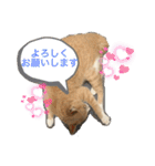 ❤︎ほちゃて❤︎（個別スタンプ：11）