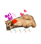 ❤︎ほちゃて❤︎（個別スタンプ：16）