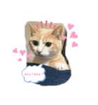 ❤︎ほちゃて❤︎（個別スタンプ：19）