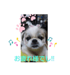 春の気持ちver.3（個別スタンプ：9）