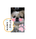 春の気持ちver.3（個別スタンプ：10）