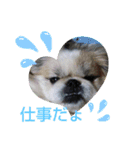春の気持ちver.3（個別スタンプ：15）