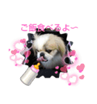 春の気持ちver.3（個別スタンプ：17）